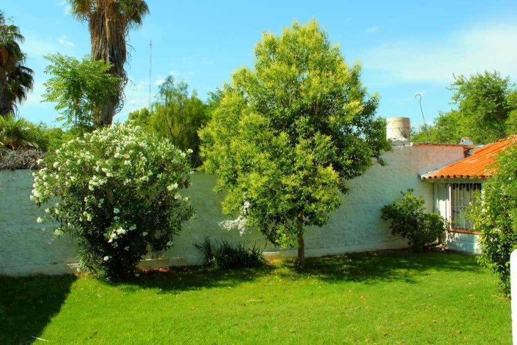 Big Beautiful House With Garden In 5Ta Seccion Neighbourhood Villa Mendoza Kültér fotó