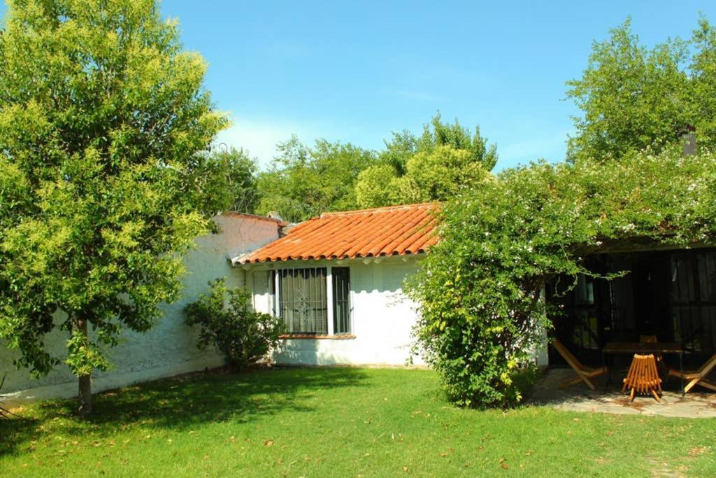 Big Beautiful House With Garden In 5Ta Seccion Neighbourhood Villa Mendoza Kültér fotó